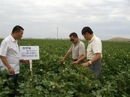 06年7月炮臺(tái)試驗(yàn)站曹新成站長在農(nóng)八師121團(tuán)私人農(nóng)場示范地察看.jpg